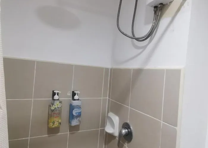 Apartment Avida Riala T1 1610/cebu It Park *